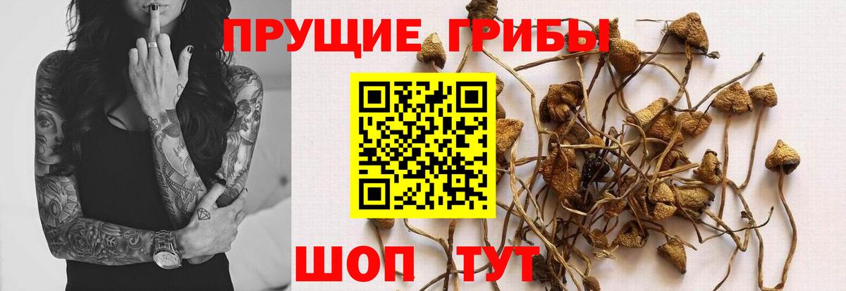 Галлюциногенные грибы прущие грибы Краснокамск